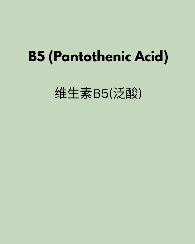 B5 (Pantothenic Acid) 120 Capsules
